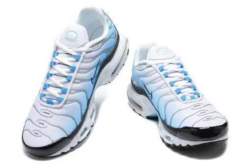 Nike Air Max Plus  TN blue