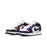 Air Jordan 1 SE Low Nothing But Net